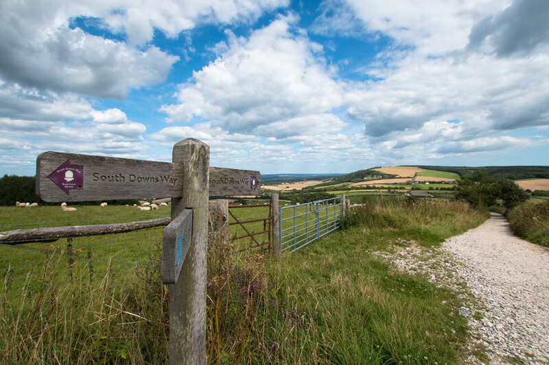 South Downs Way Sign Post
