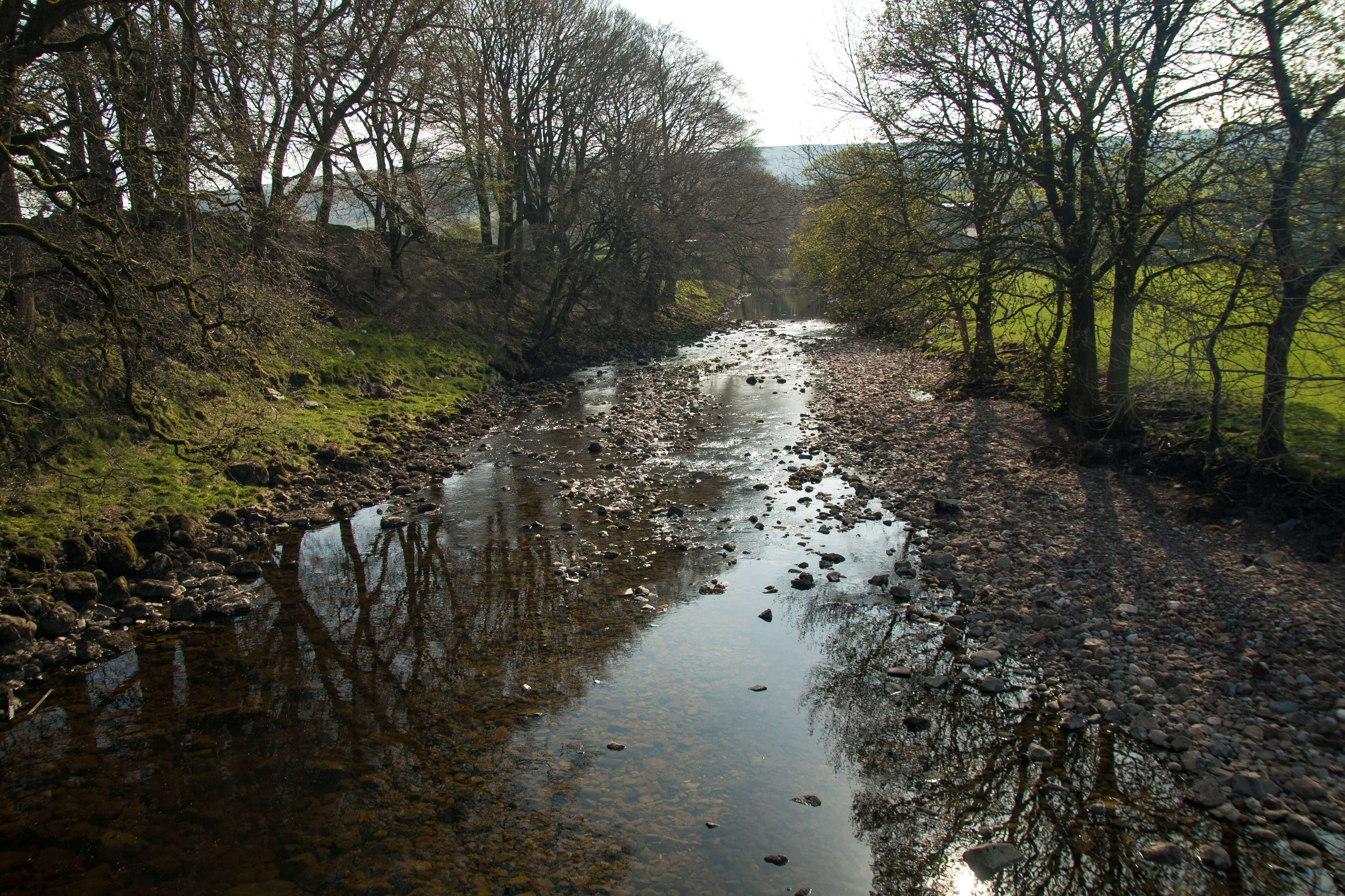 The River Ribble